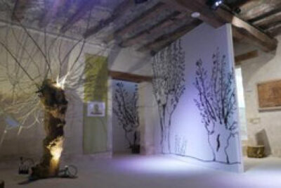 Agrandir l'image 2 sur 2, fenêtre modale