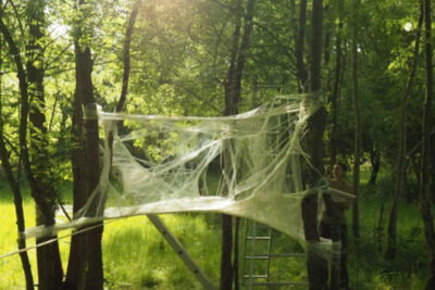 Agrandir l'image 1 sur 9, fenêtre modale