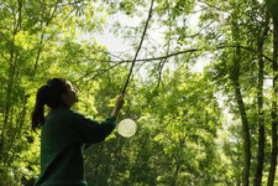 Agrandir l'image 3 sur 9, fenêtre modale