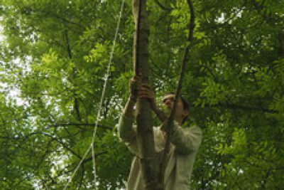 Agrandir l'image 4 sur 9, fenêtre modale