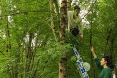 Agrandir l'image 5 sur 9, fenêtre modale