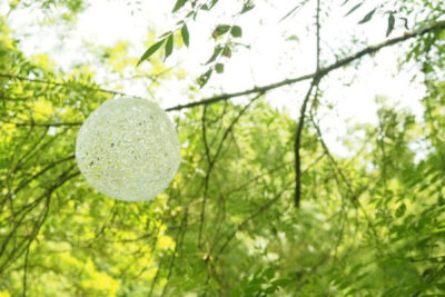 Agrandir l'image 8 sur 9, fenêtre modale