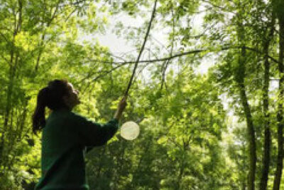 Agrandir l'image 9 sur 9, fenêtre modale