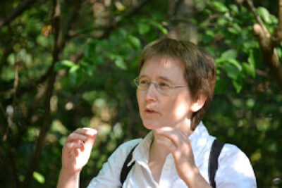 Agrandir l'image 1 sur 4, fenêtre modale