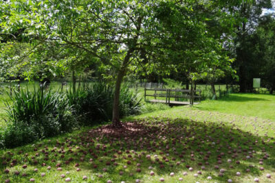 Agrandir l'image 2 sur 7, fenêtre modale