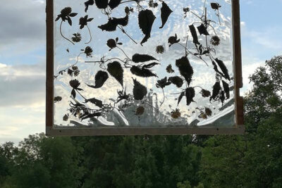 Agrandir l'image 3 sur 7, fenêtre modale