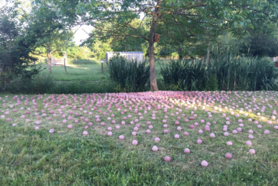 Agrandir l'image 6 sur 7, fenêtre modale