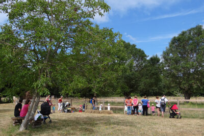 Agrandir l'image 2 sur 8, fenêtre modale