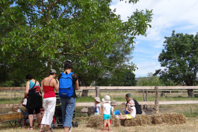 Agrandir l'image 4 sur 8, fenêtre modale