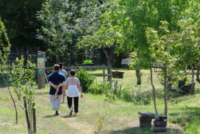 Agrandir l'image 7 sur 8, fenêtre modale