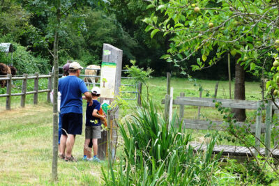 Agrandir l'image 6 sur 8, fenêtre modale