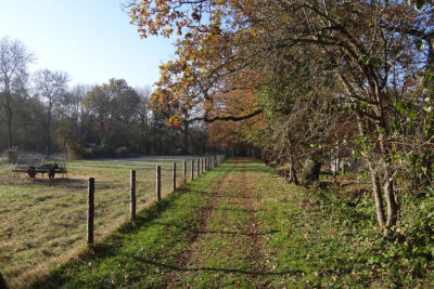 Agrandir l'image 8 sur 8, fenêtre modale