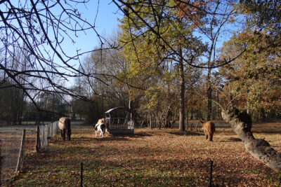 Agrandir l'image 5 sur 8, fenêtre modale