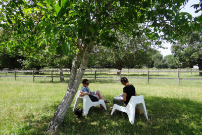 Agrandir l'image 1 sur 8, fenêtre modale