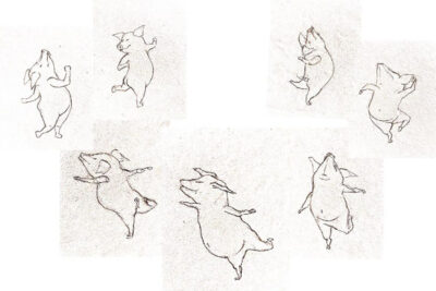 Agrandir l'image 3 sur 3, fenêtre modale