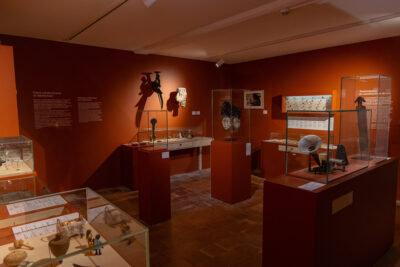 Agrandir l'image 3 sur 14, fenêtre modale