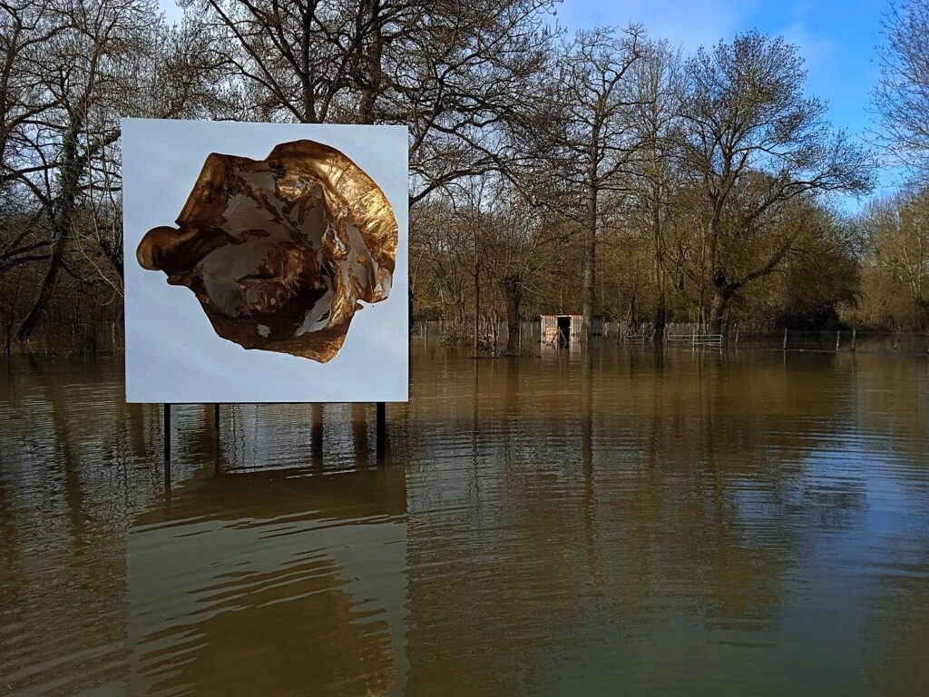 L'oeuvre de François Xavier Chanioux : Rinascere - Agrandir l'image, fenêtre modale