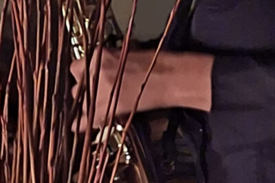 Agrandir l'image 3 sur 3, fenêtre modale