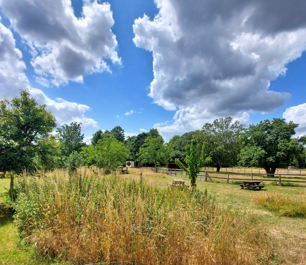 c'est une vue du bocage - Agrandir l'image, fenêtre modale