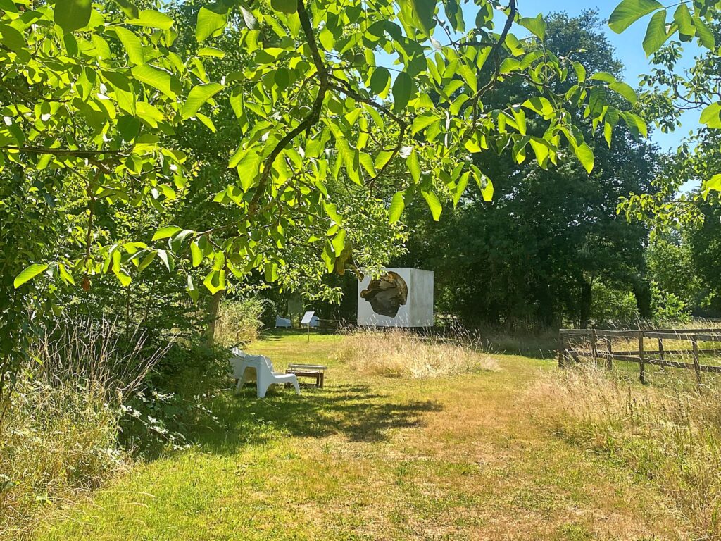 Agrandir l'image, fenêtre modale