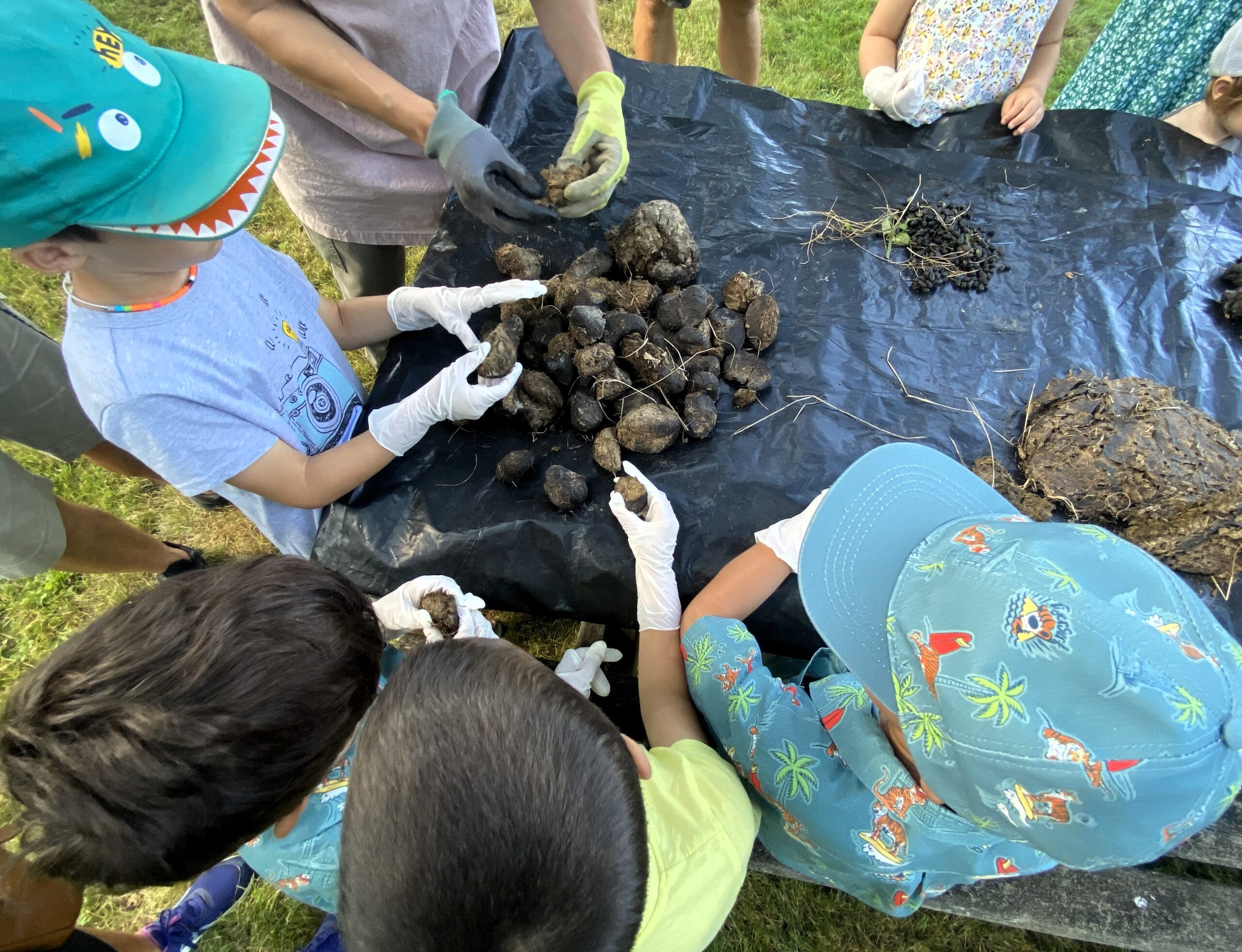 Agrandir l'image, fenêtre modale