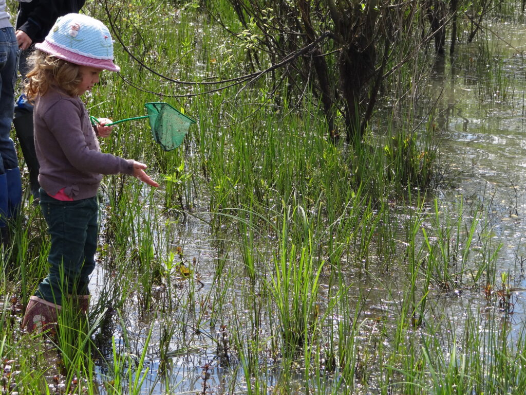 Agrandir l'image, fenêtre modale