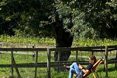 Agrandir l'image, fenêtre modale