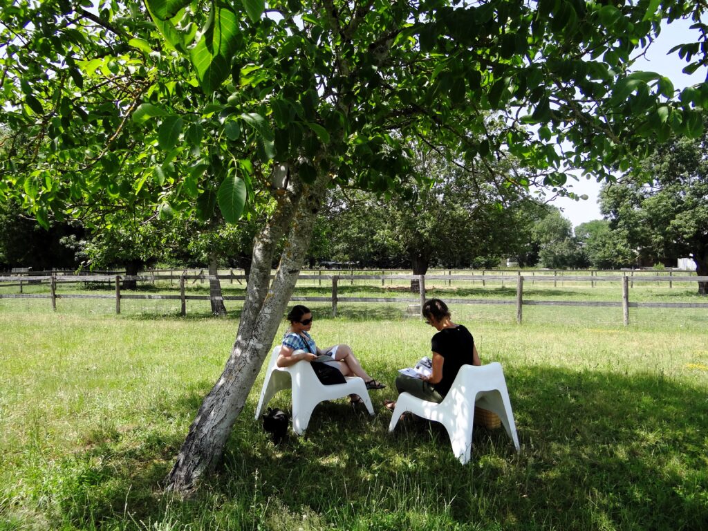 Agrandir l'image, fenêtre modale