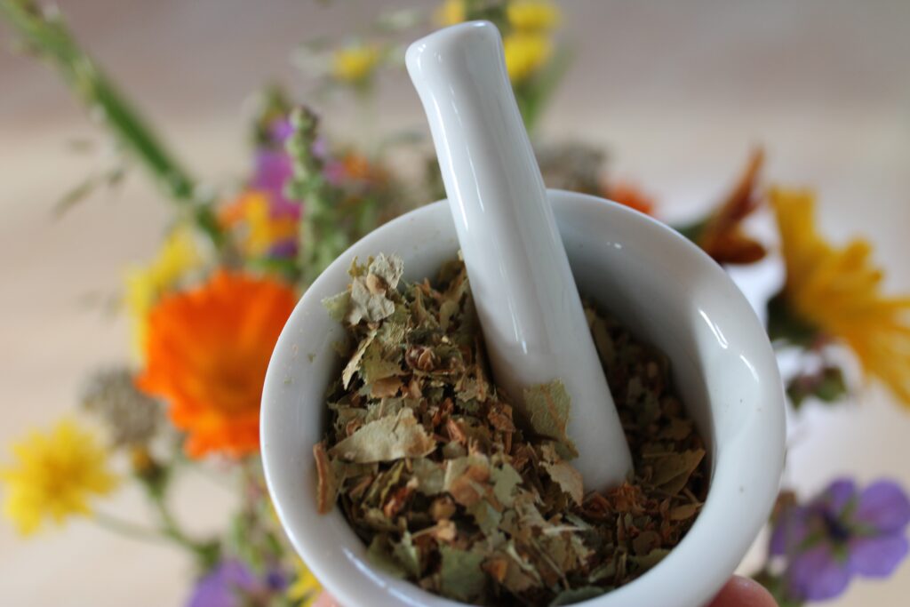 un atelier autour de fleurs et de lantes qui sont en train d'être réduite en poudre - Agrandir l'image, fenêtre modale